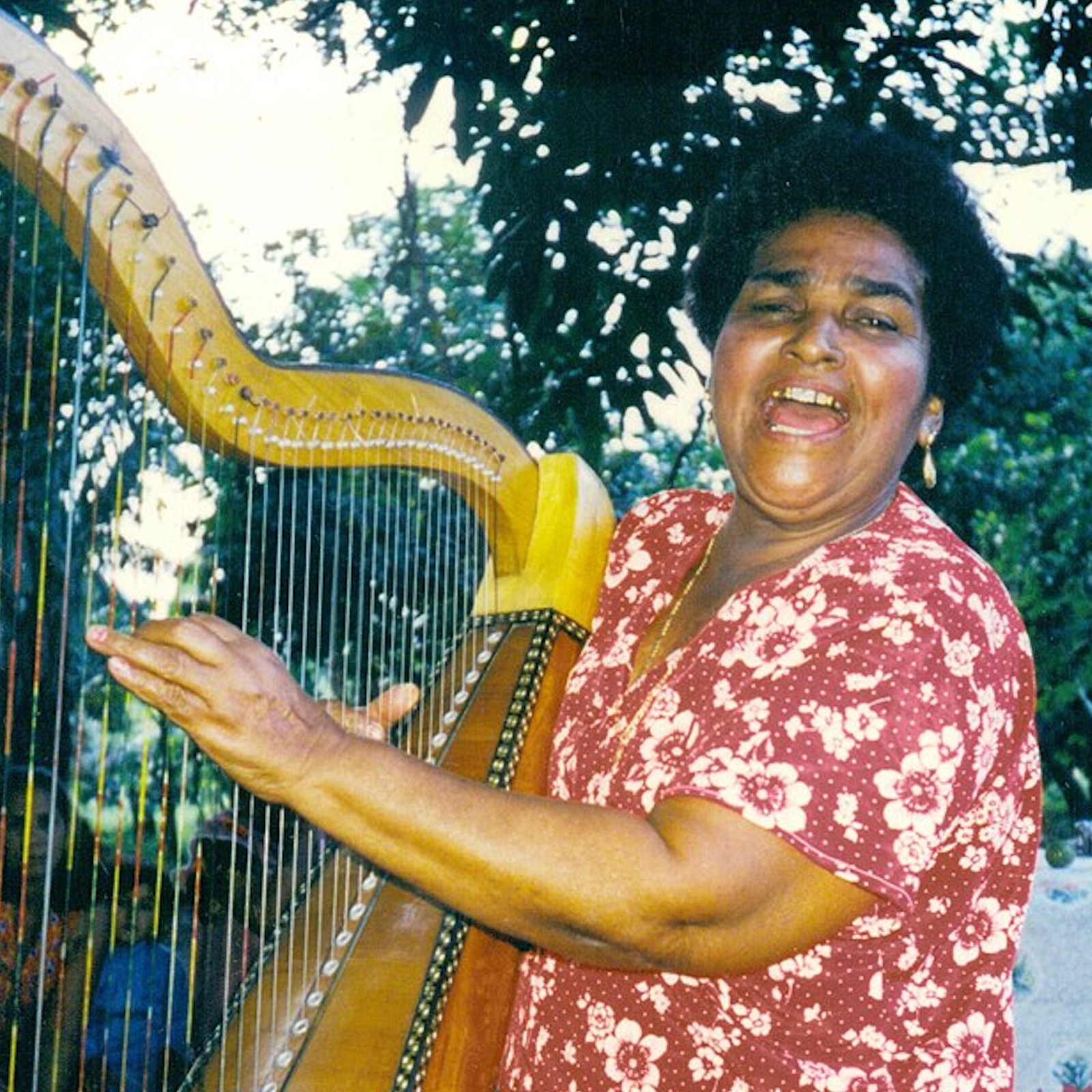 Tradicionàrius