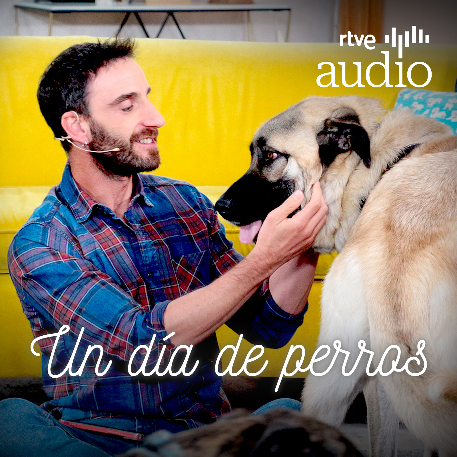 Un día de perros podcast artwork