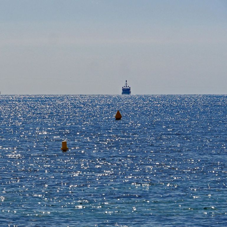 Vida Verda - Els efectes del col·lapse dels corrents marins AMOC