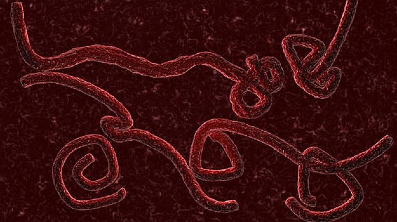 asset-2706579zmapp alta