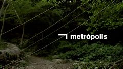 Metrópolis, un poco de historia