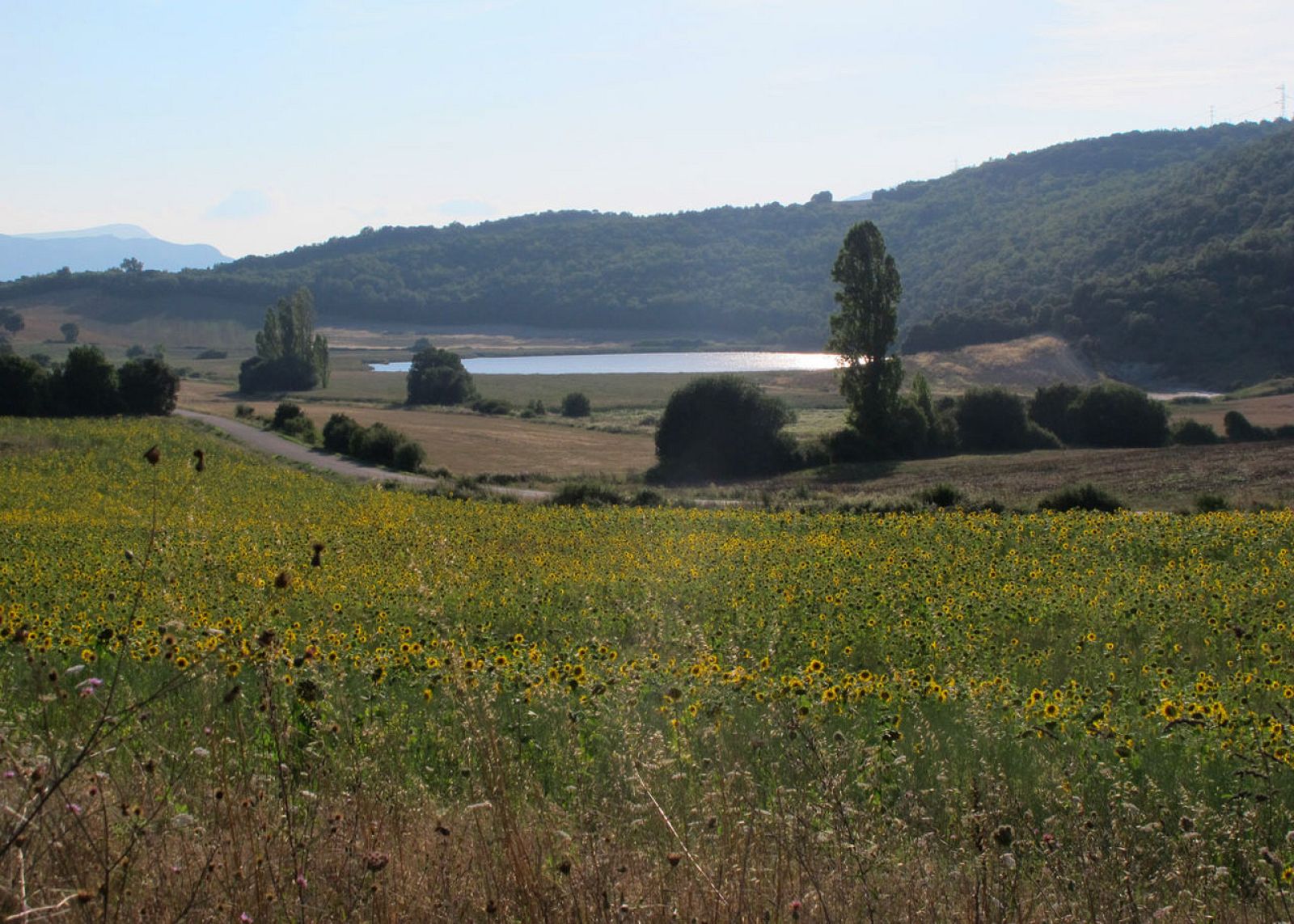 Lago Arreo, en Álava
