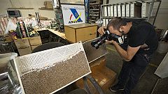 Detenidas 18 personas en la mayor operación contra fábricas de tabaco ilegal en España