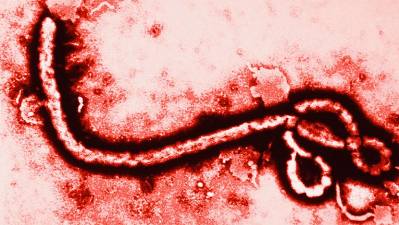 Sanidad elabora un listado de las personas que han tenido contacto con la enferma de ébola