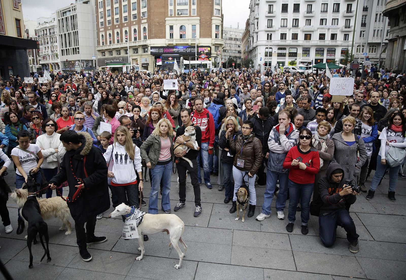 Se han concentrado en la Puerta del Sol de Madrid, bajo el lema 'Todos con Teresa'.