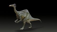 Descrifrado el misterio de "Manos terribles", un dinosaurio con aspecto de avestruz, tras 50 años
