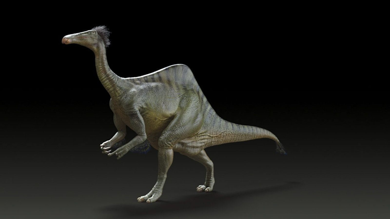 Deinocheirus mirificus