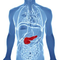 Identifican una proteína clave en el desarrollo del cáncer de páncreas