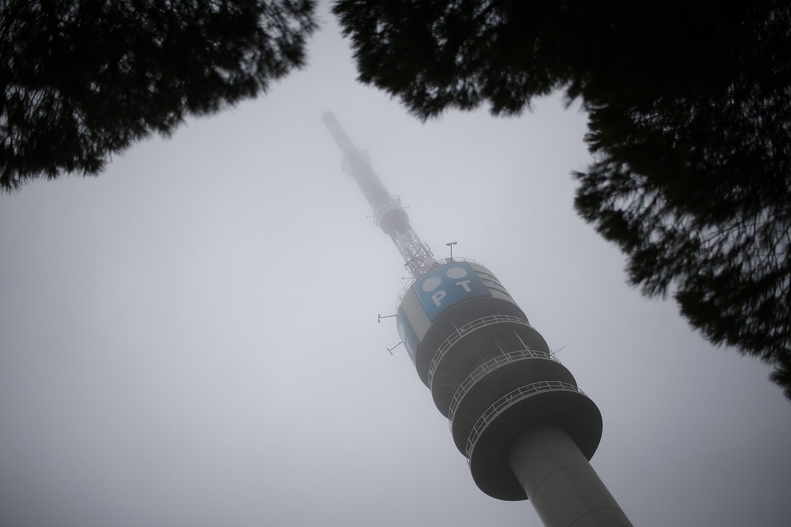 A communications tower of Portugal Telecom (PT) is pictured at Monsanto park in Lisbon