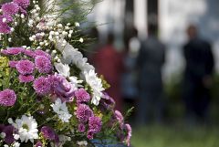 El Senado aprueba la rebaja del IVA de flores y plantas ornamentales del 21% al 10%