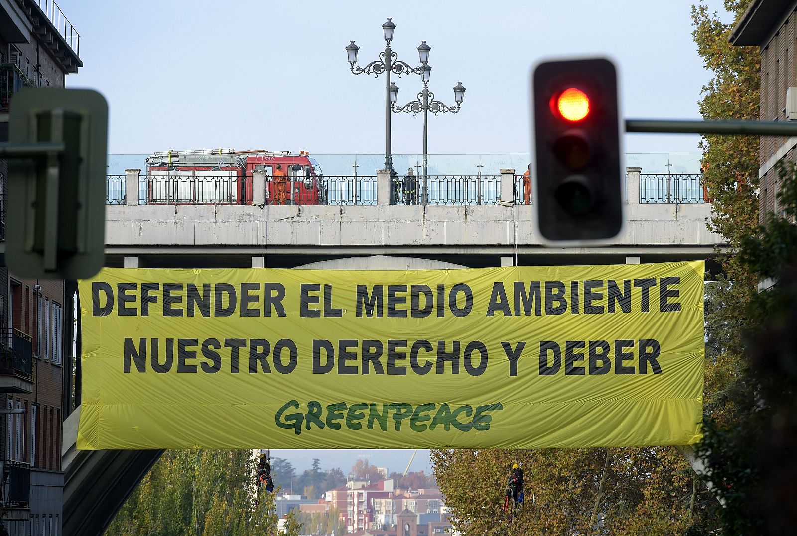 greenpeace