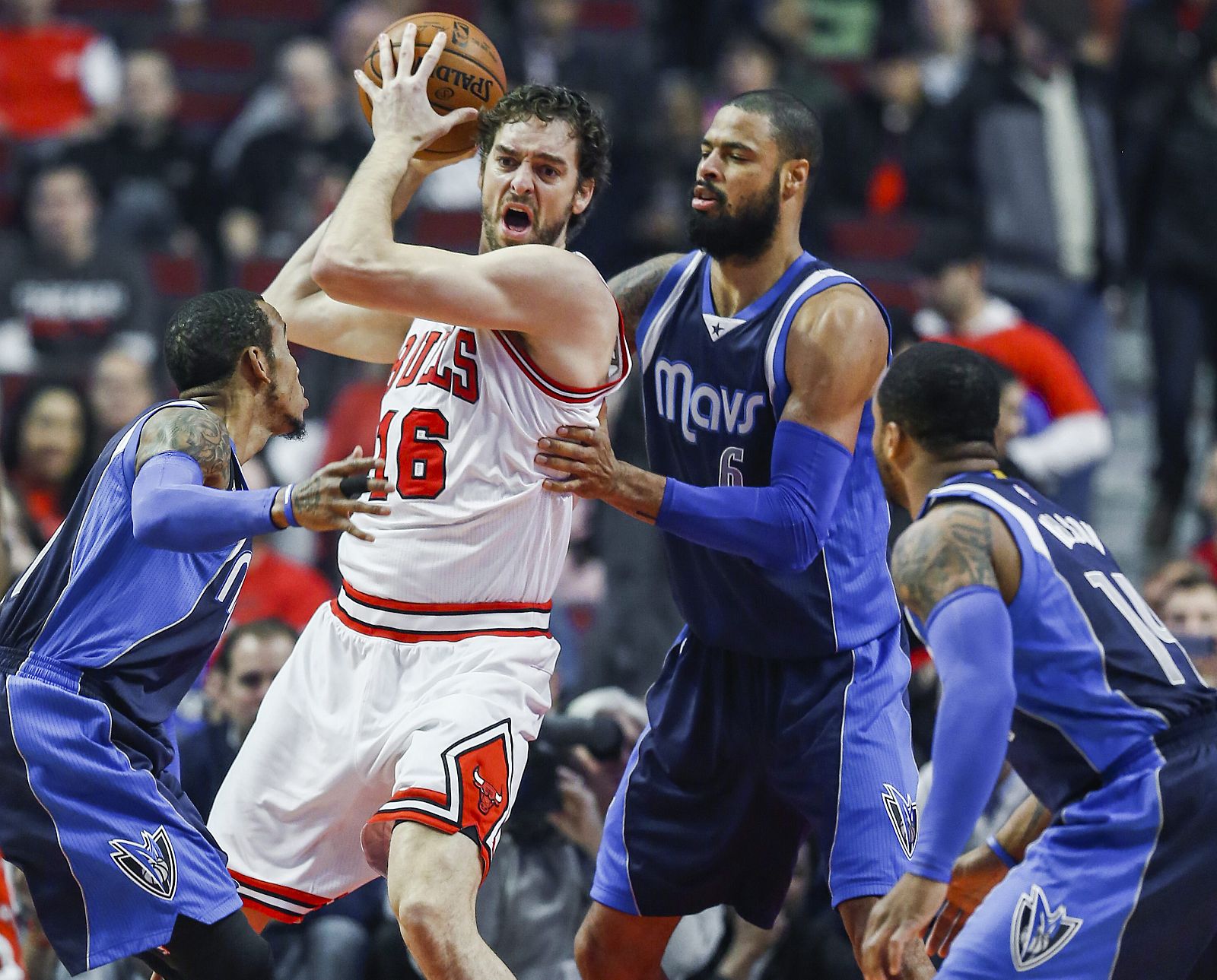 MAVERICKS DE DALLAS - BULLS DE CHICAGO