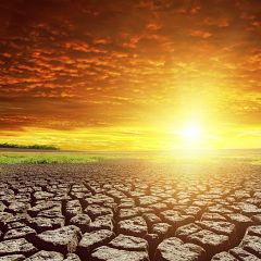 La ONU alerta que 2014 es "posiblemente" el año más caluroso jamás registrado
