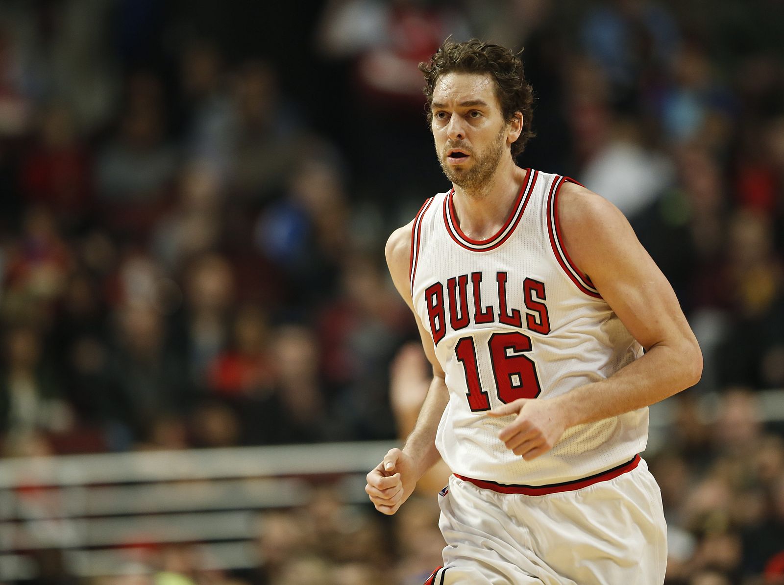 BULLS - GOLDEN STATE