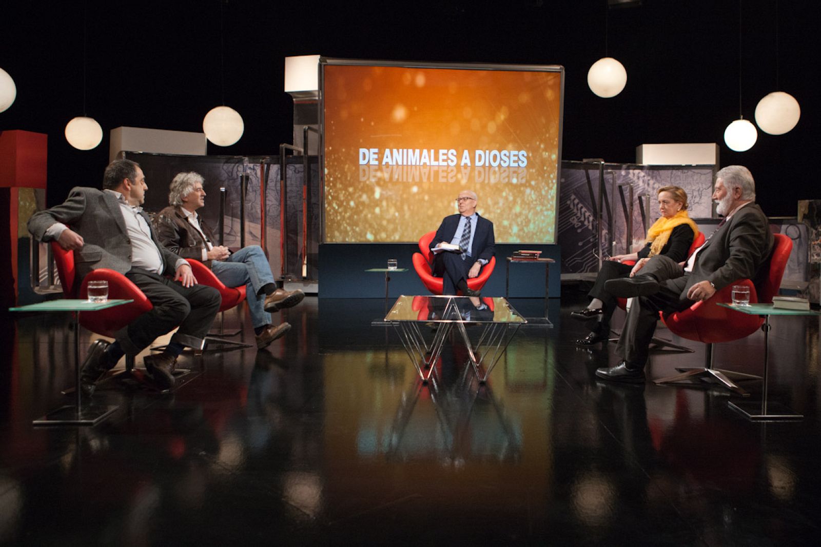 De animales a dioses - Millennium