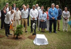 El gobierno de Colombia valora el alto el fuego de las FARC pero no acepta una verificación