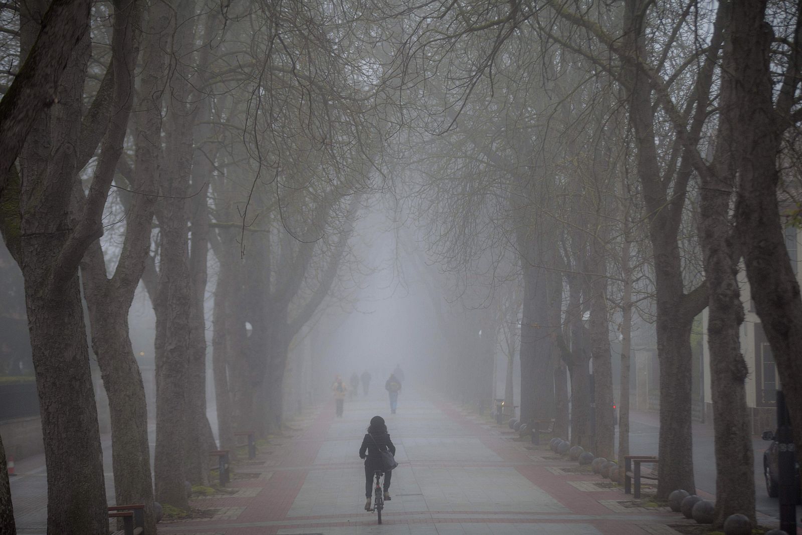 Vitoria bajo una espesa niebla y con una temperatura mínima de 0 grados.