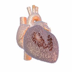 El frío aumenta la presión arterial y el colesterol, según un estudio