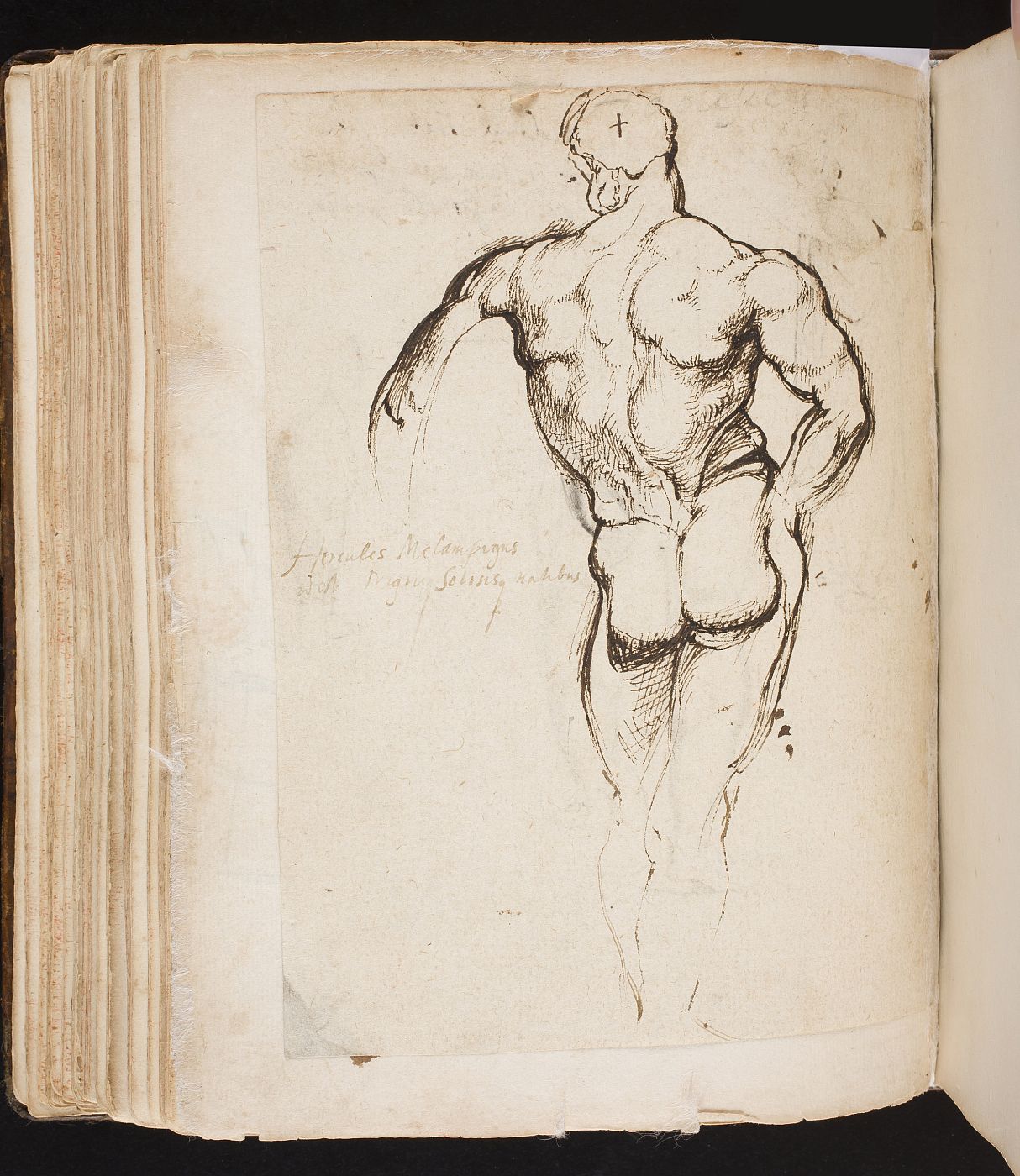Manuscrito Bordes, Cuaderno de Rubens, S. XVII