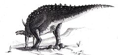 Descubren que un pequeño dinosaurio acorazado se reproducía con grandes huevos