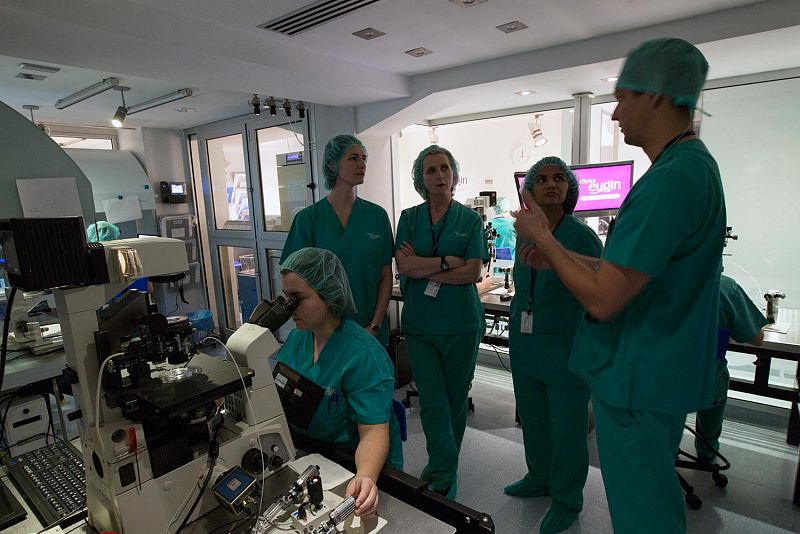 Ensayan la técnica de reproducción asistida con ADN de tres padres con ovocitos humanos