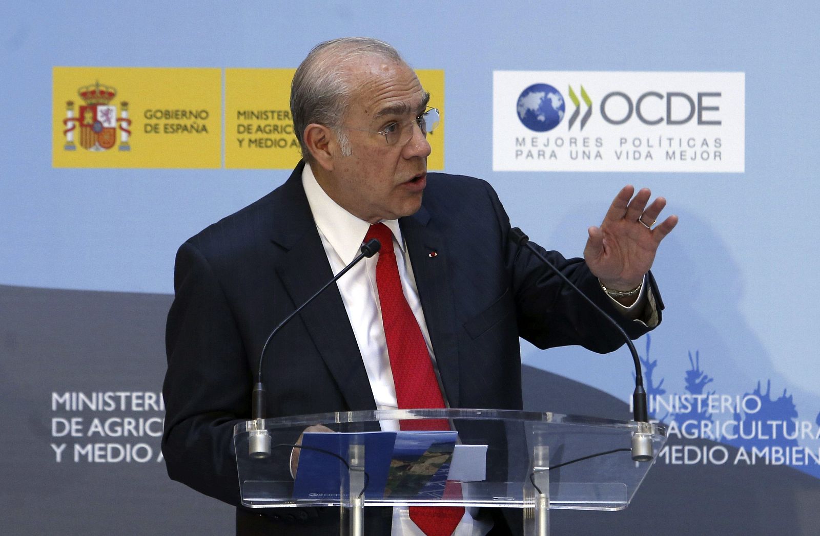 El secretario general de la Organización para la Cooperación y el Desarrollo Económicos (OCDE), Ángel Gurría.