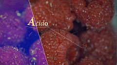 Al punto, la revista de gastronomía de TVE