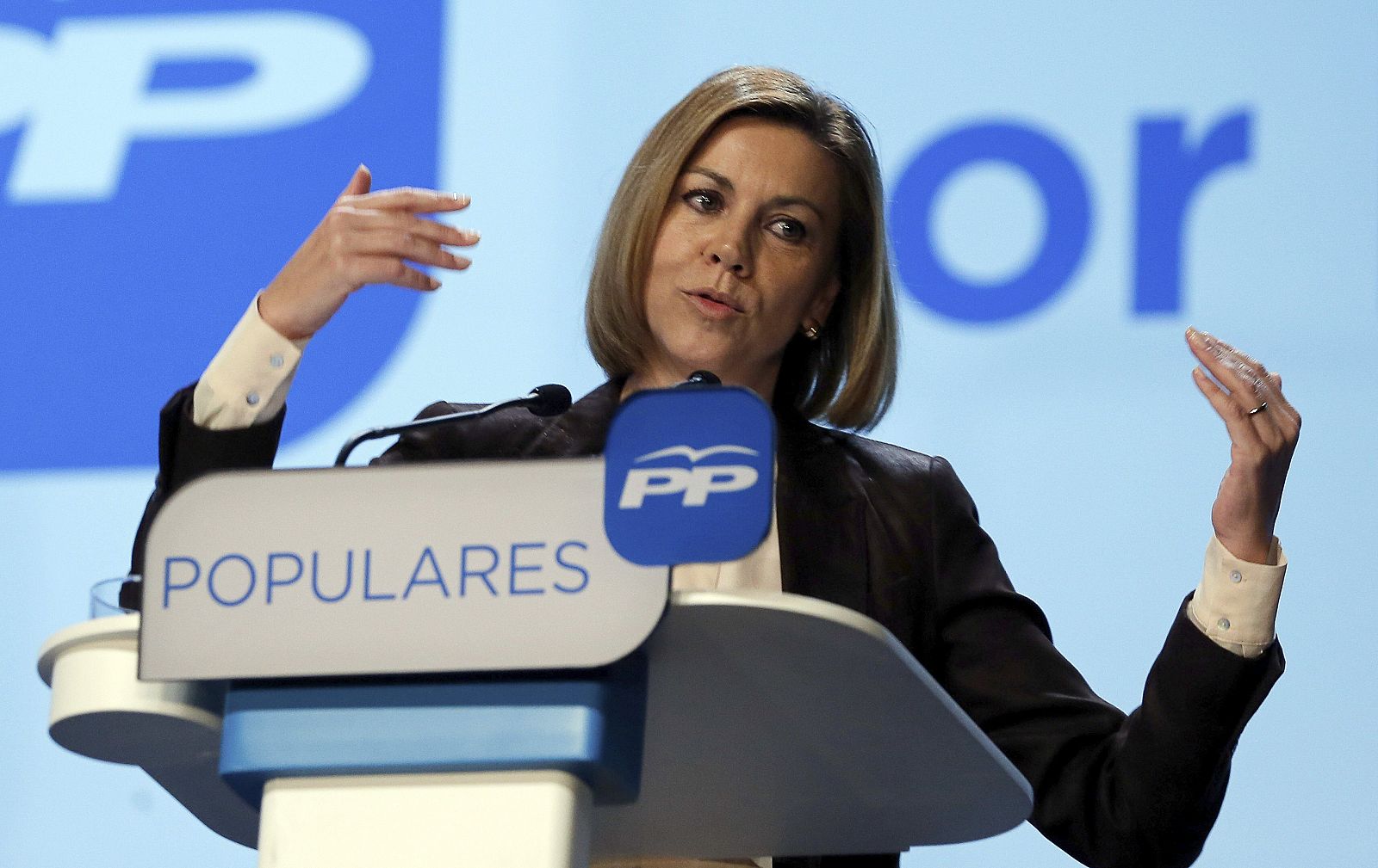 PROGRAMA MARCO LOCAL DEL PP