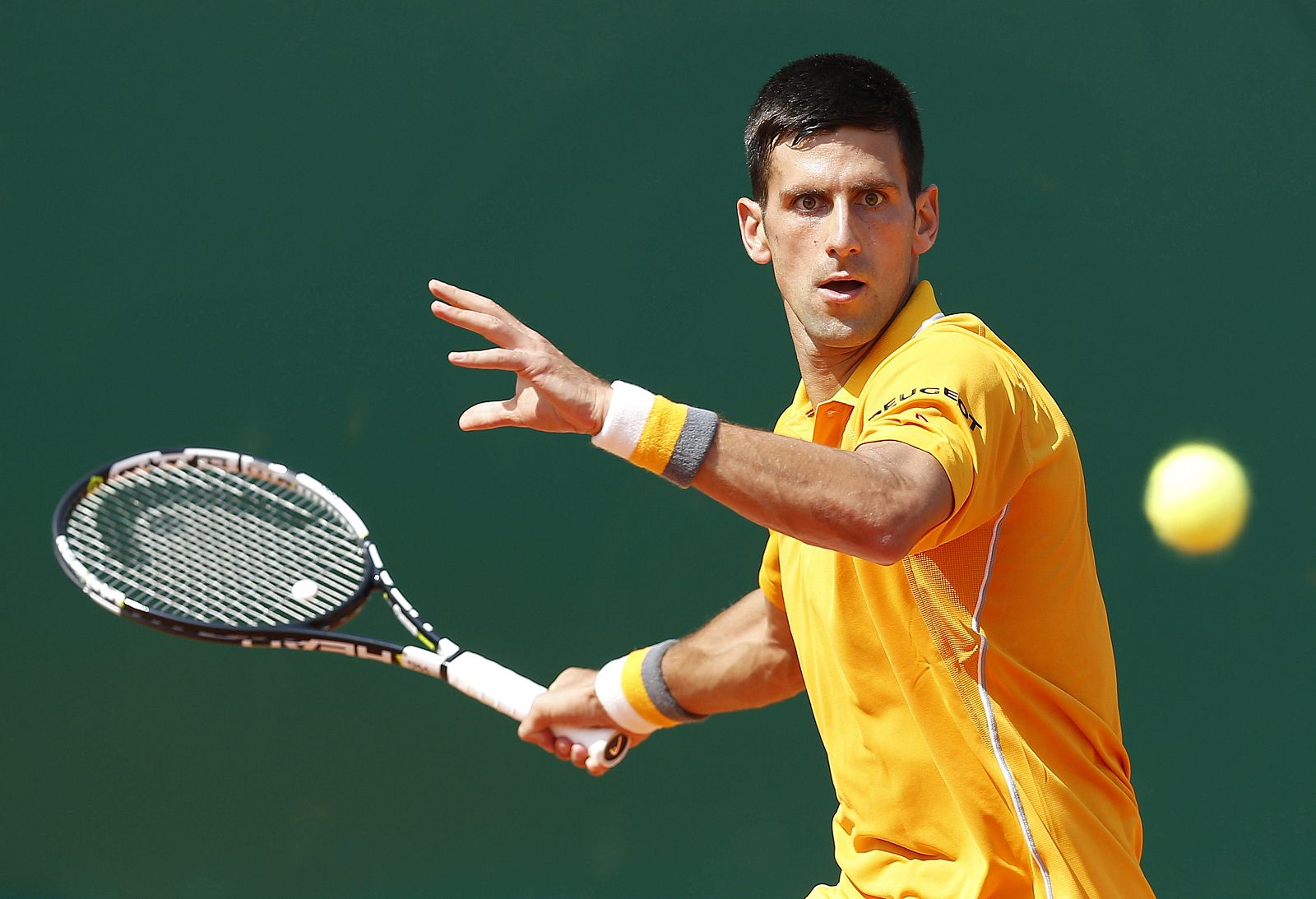 NOVAK DJOKOVIC VS. ALBERT RAMOS