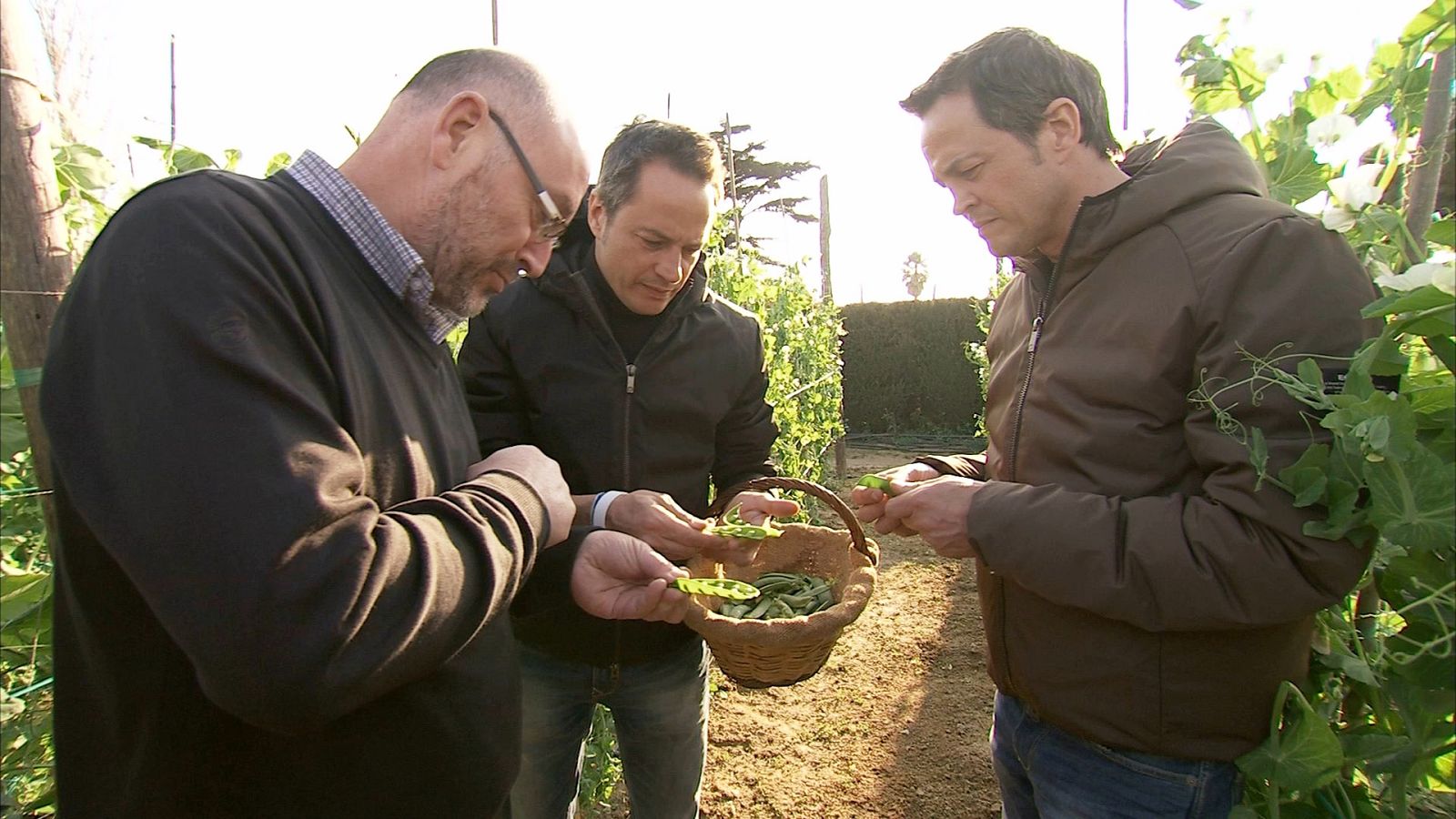 cocina2 barcelona 01