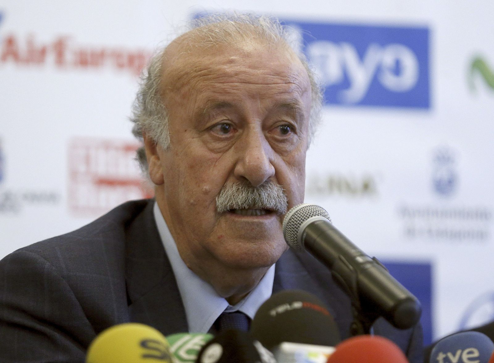 El entrenador de la selección nacional de futbol, Vicente Del Bosque.
