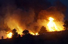Se cumplen 3 años del incendio de Guadalajara
