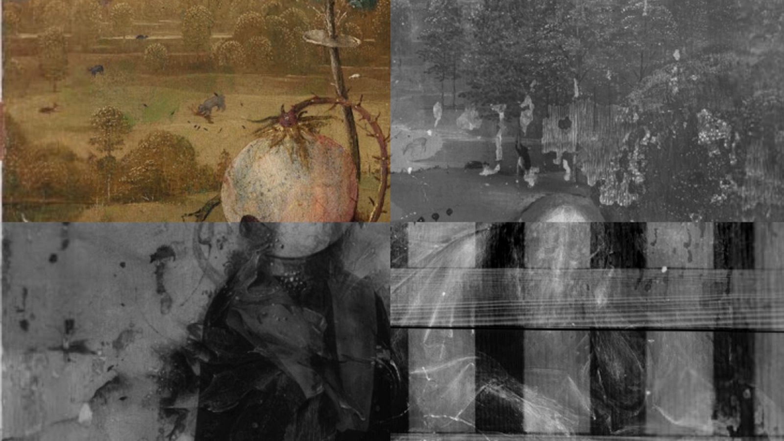 'Meditaciones de San Juan Bautista', del Bosco, perteneciente a la Colección Lázaro, tras aplicar diferentes técnicas de fotografía, reflectografía y radiografía.