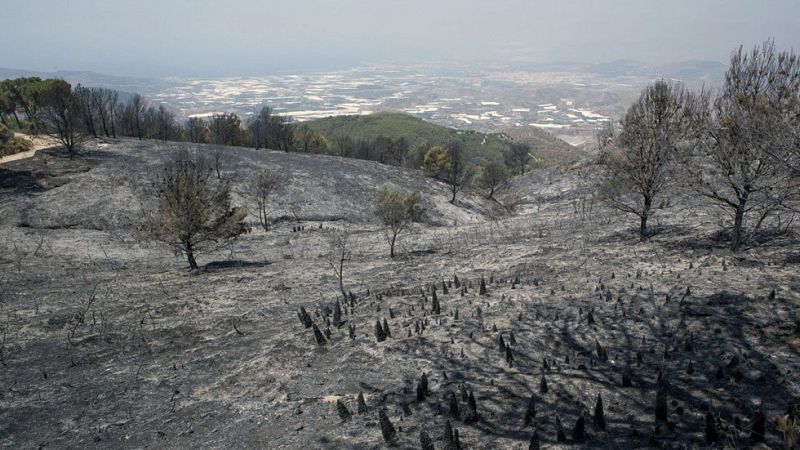 Vuelven a sus casas todos los vecinos evacuados por el incendio de Granada, que sigue activo