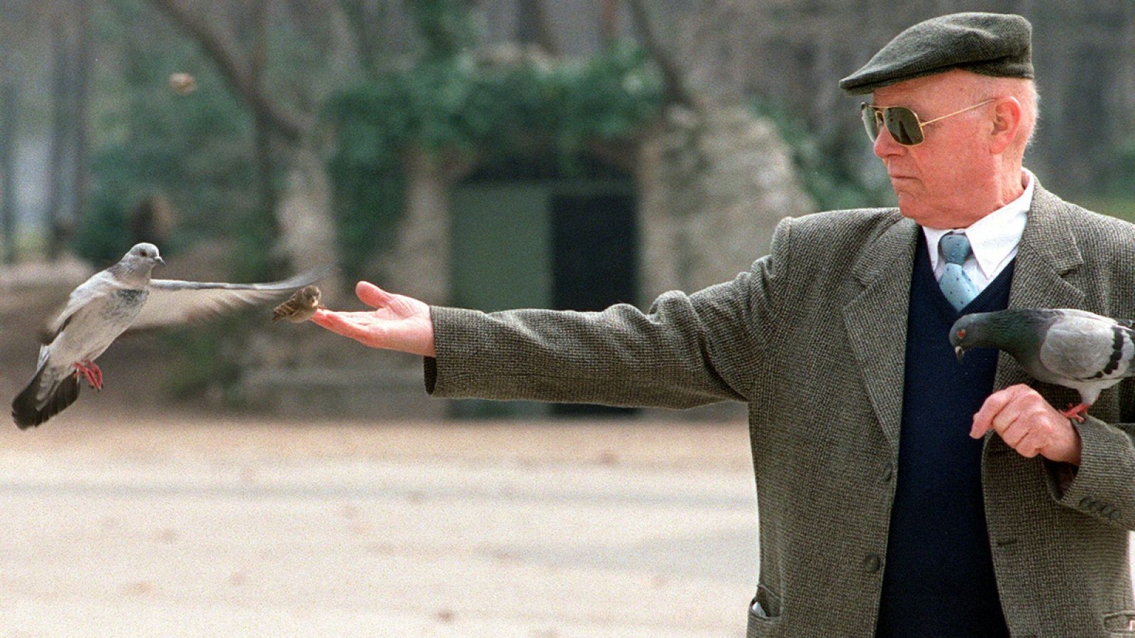 Un jubilado da de comer a los pájaros en el Retiro