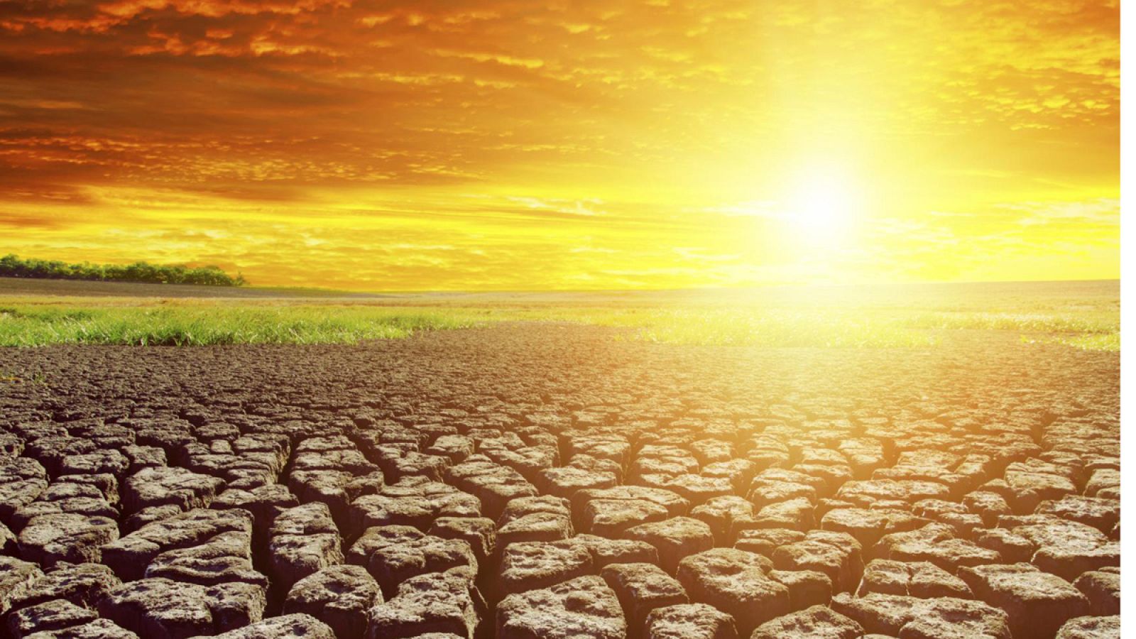 Las temperaturas aumentarán hasta seis grados para final de siglo