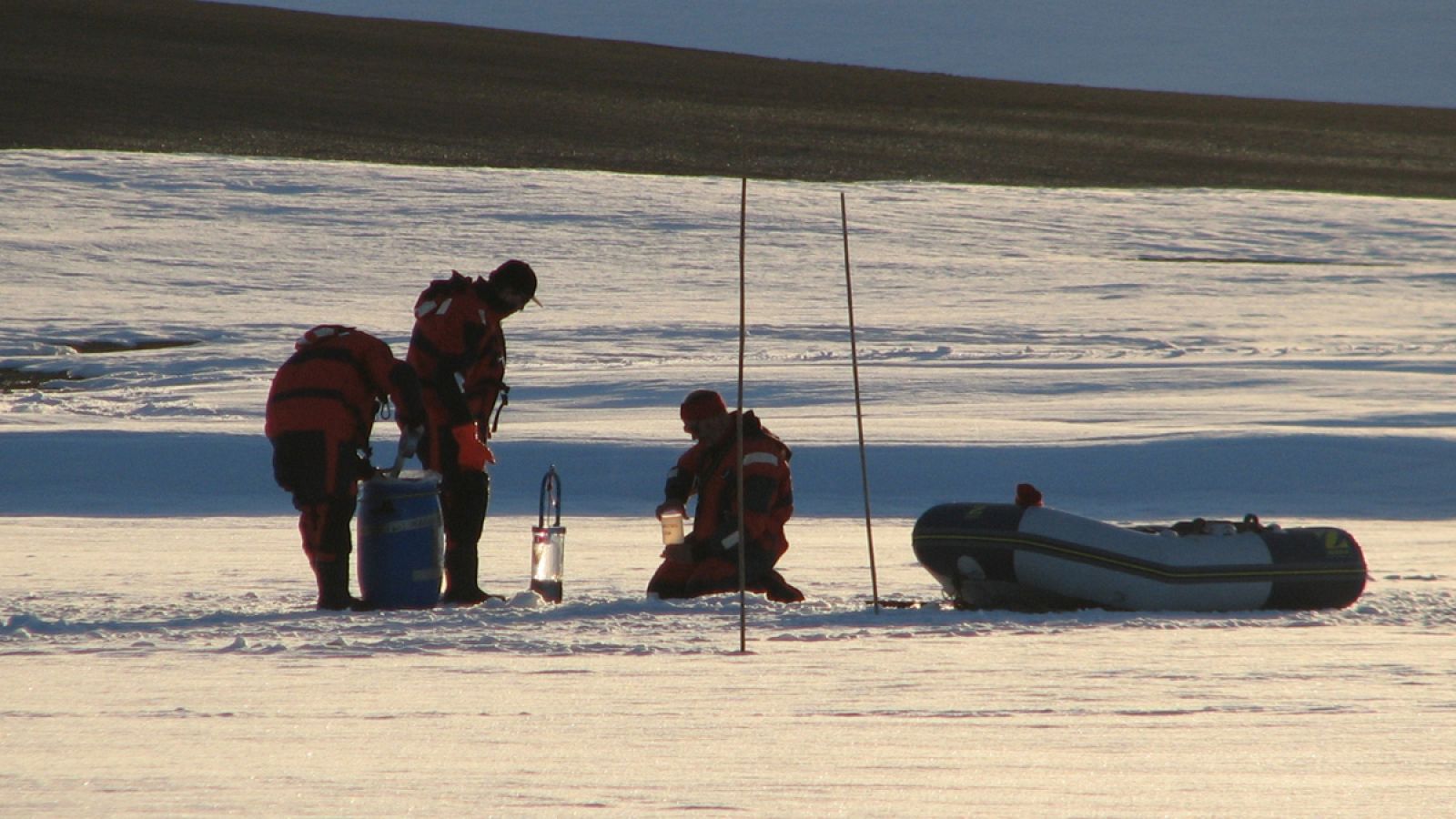 1 / 1En 2009, científicos del mismo grupo de investigación fueron los primeros en identificar la composición genética de los virus ADN presentes en los lagos de la Antártida