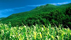 WWF avisa de que la Tierra ha consumido ya sus recursos naturales de este año