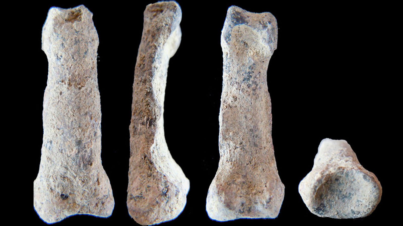 Los restos encontrados de la mano del homínido OH 86