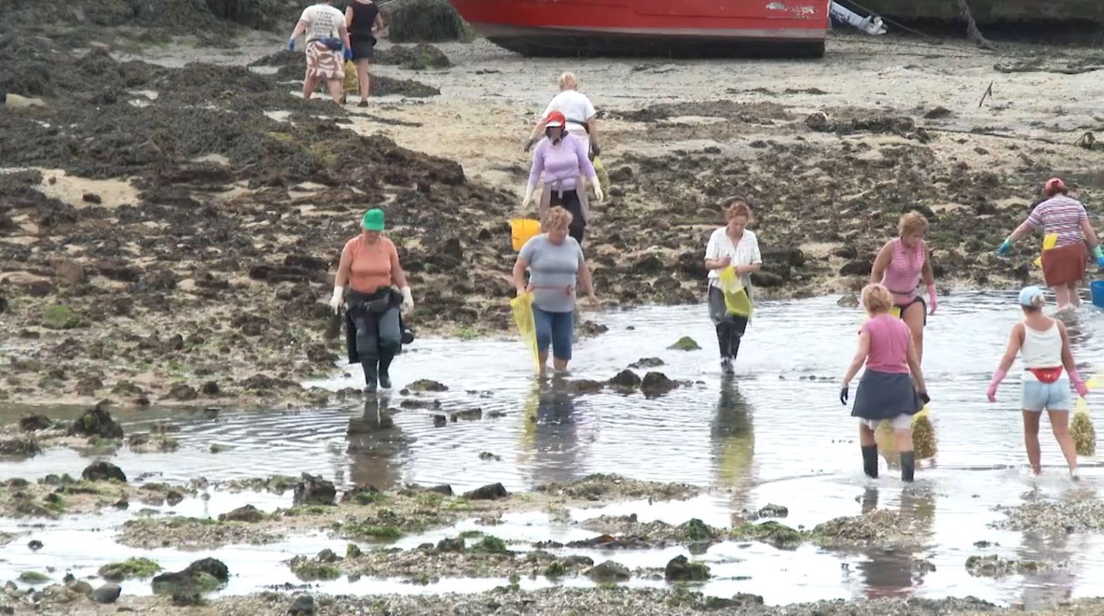 el-sabor-de-galicia-01