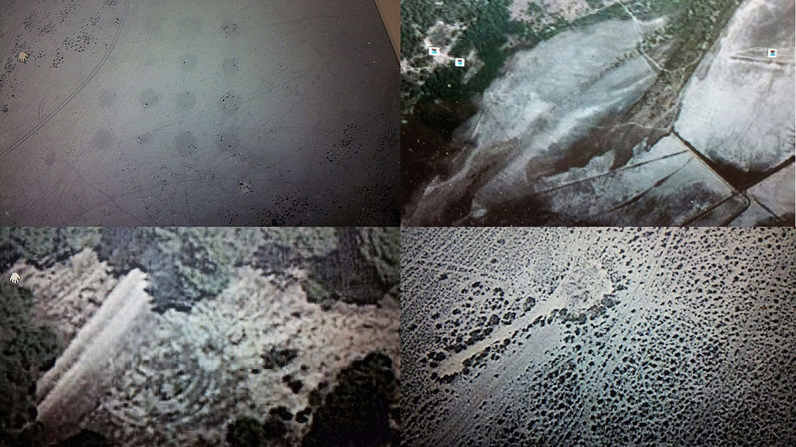 Fotografías tomadas vía satélite de la supuesta gran ciudad antigua sepultada en el pinar de La Algaida, en Sanlúcar de Barrameda (Cádiz)