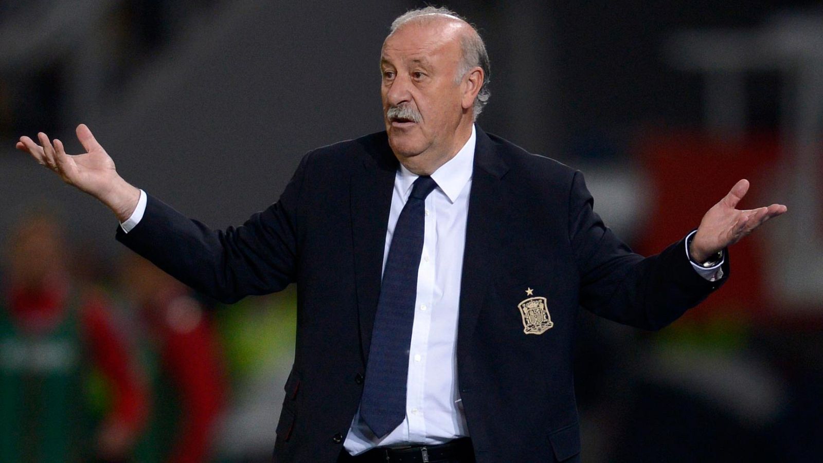 El seleccionador de España, Vicente del Bosque