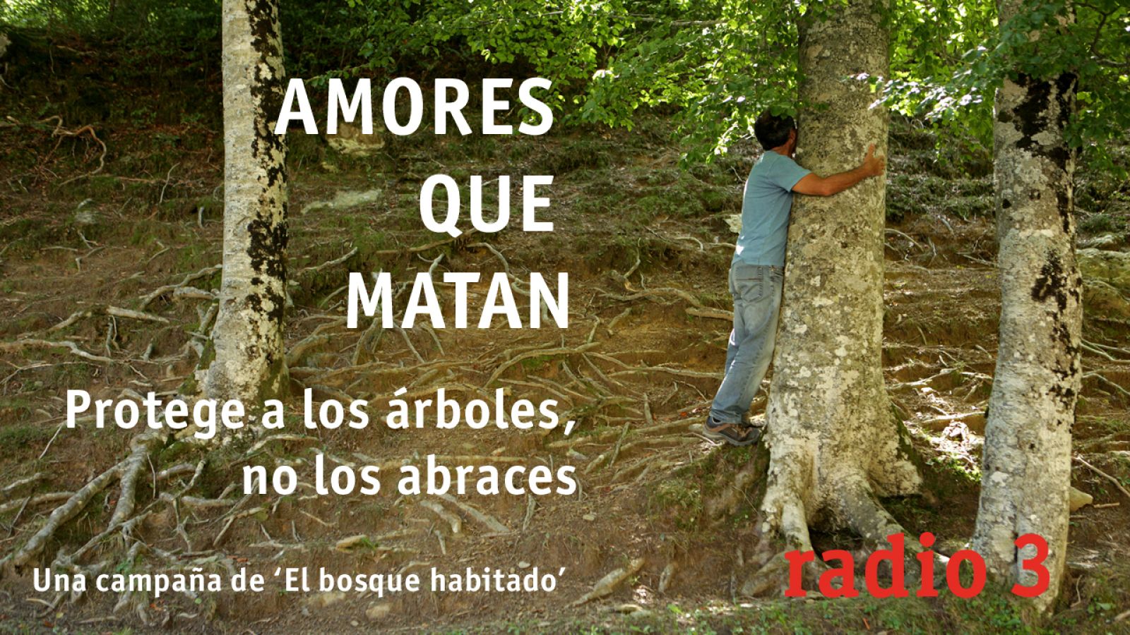 Campaña 'Amores que matan' para proteger los árboles monumentales
