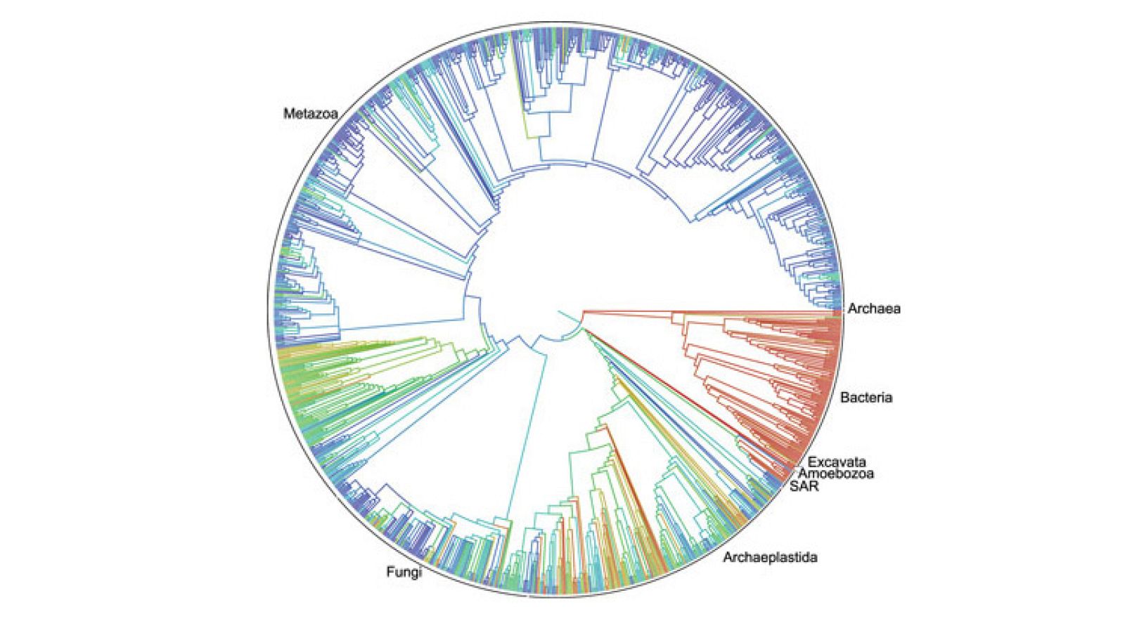 Árbol circular de las formas de vida de la Tierra desde que surgió hace 3.500 millones de años.