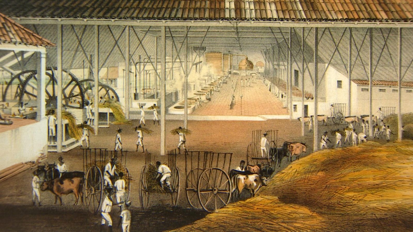 Imagen de 'Gallegos por esclavos', el reportaje de 'Crónicas' de esta semana