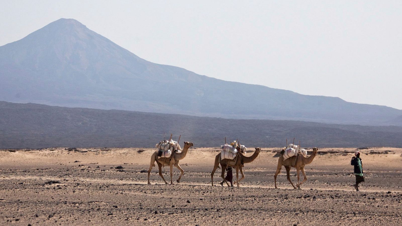 En el Cuerno de África, algunas poblaciones tienen hasta un 45% de ADN eurasiático.