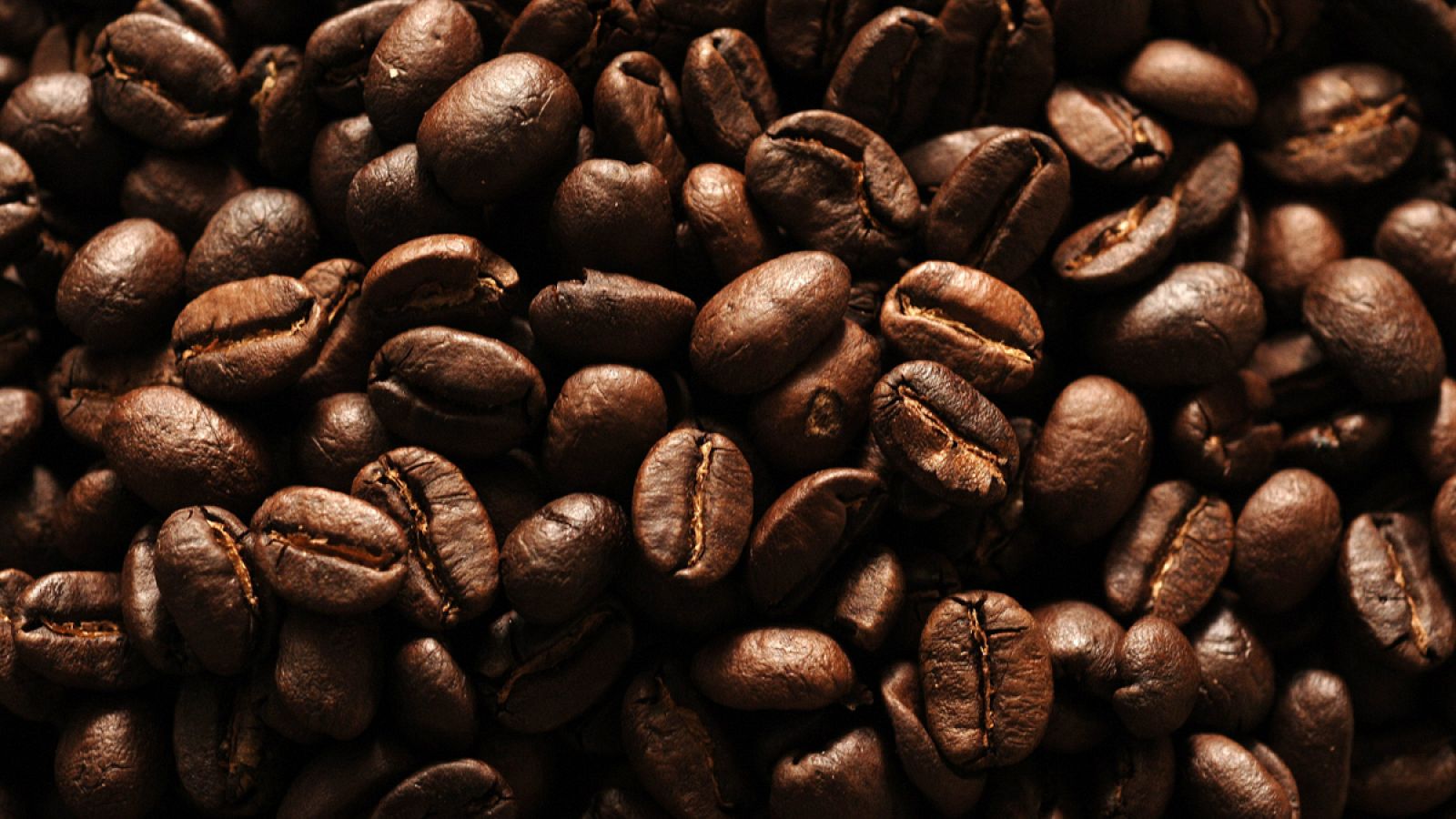 Las micotoxinas pueden llegar a ser cancerígenas, hepatotóxicas y afectar al sistema hormonal e inmunológico.