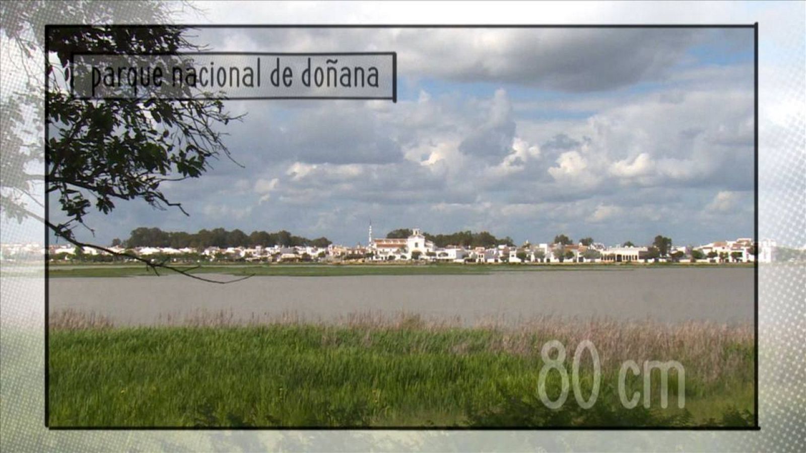 El Parque Nacional de Doñana alberga un gran mosaico de ecosistemas y una biodiversidad única en Europa