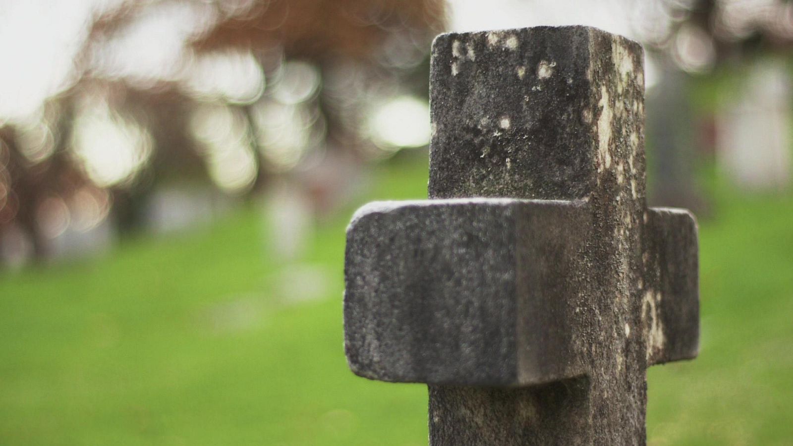 Imagen del reportaje 'Vivo o muerto' de 'Documentos TV'