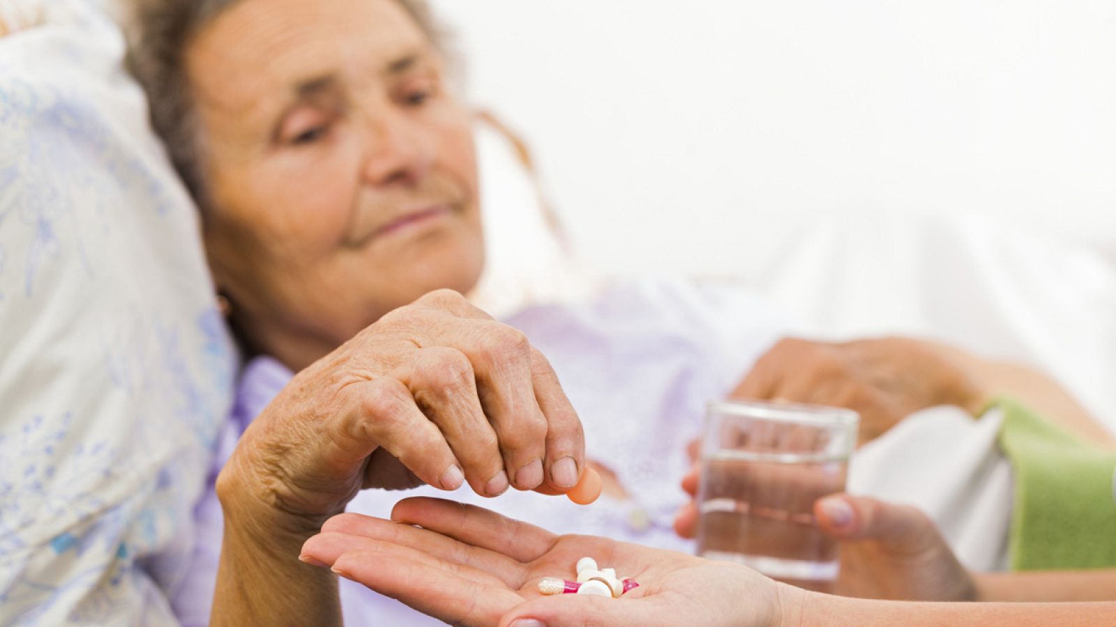 No es la primera vez que este grupo asocia alzhéimer y hongos.